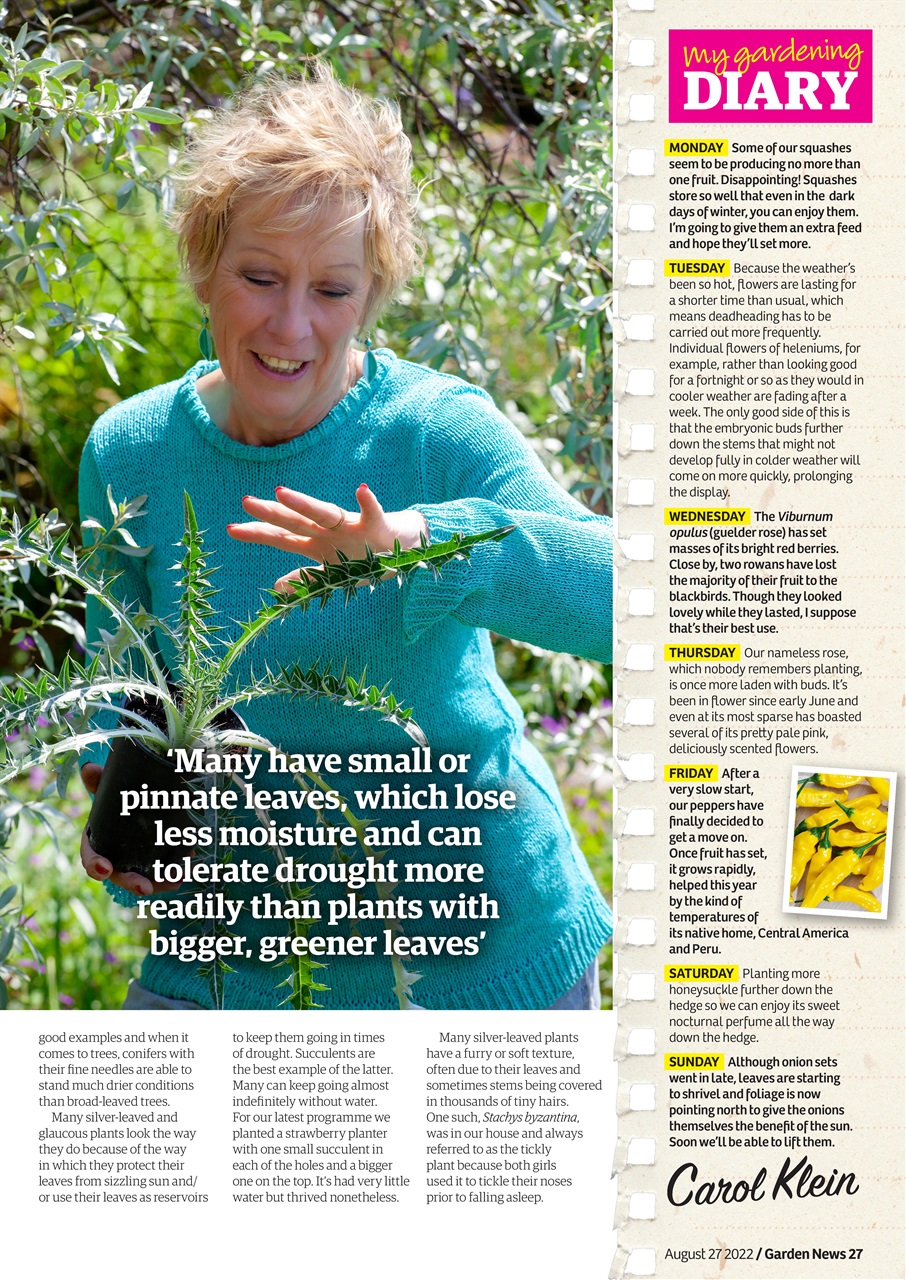Garden News Preview Pages