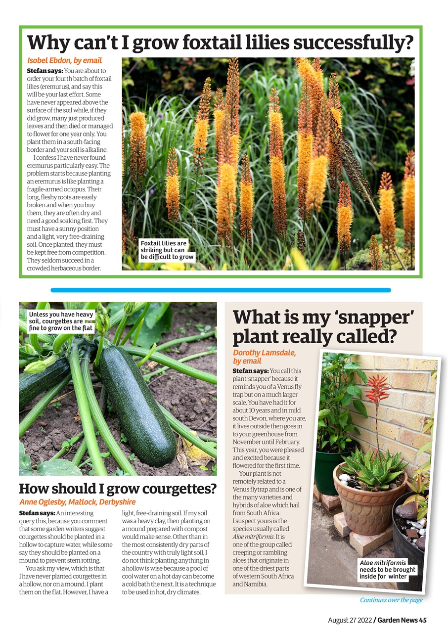 Garden News Preview Pages