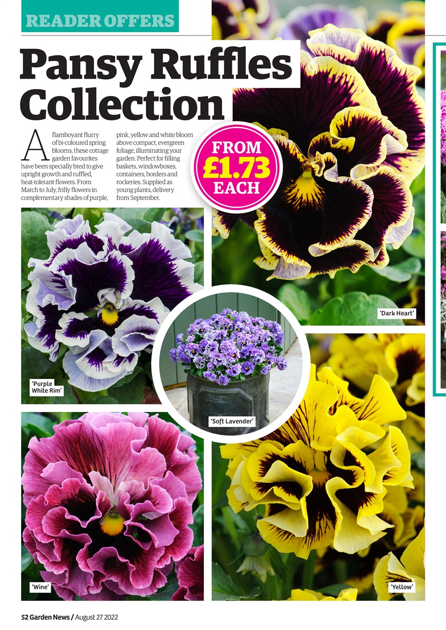 Garden News Preview Pages