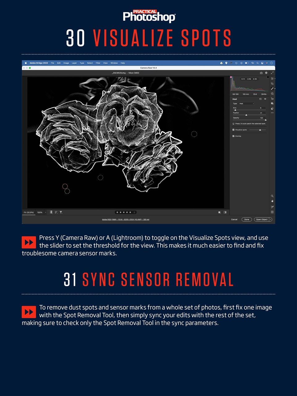 Practical Photoshop Preview Pages