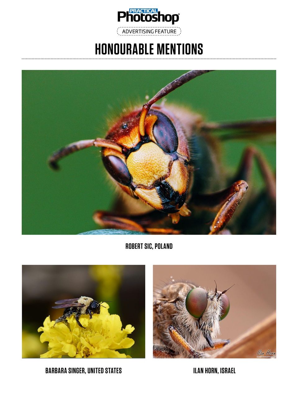 Practical Photoshop Preview Pages