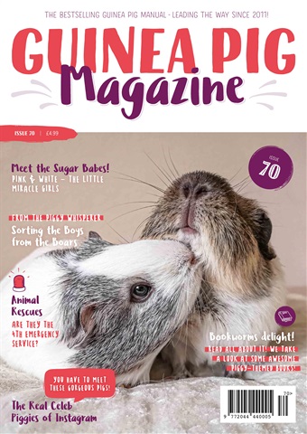 Guinea Pig Magazine issue Issue 70