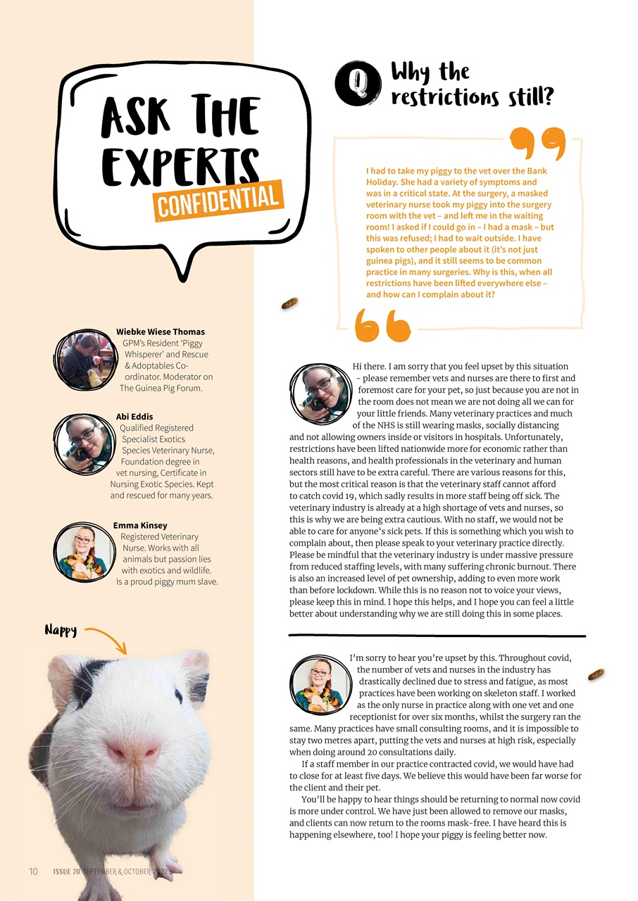 Guinea Pig Magazine Preview Pages