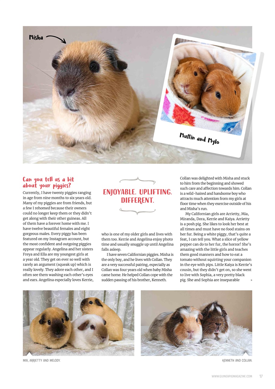 Guinea Pig Magazine Preview Pages