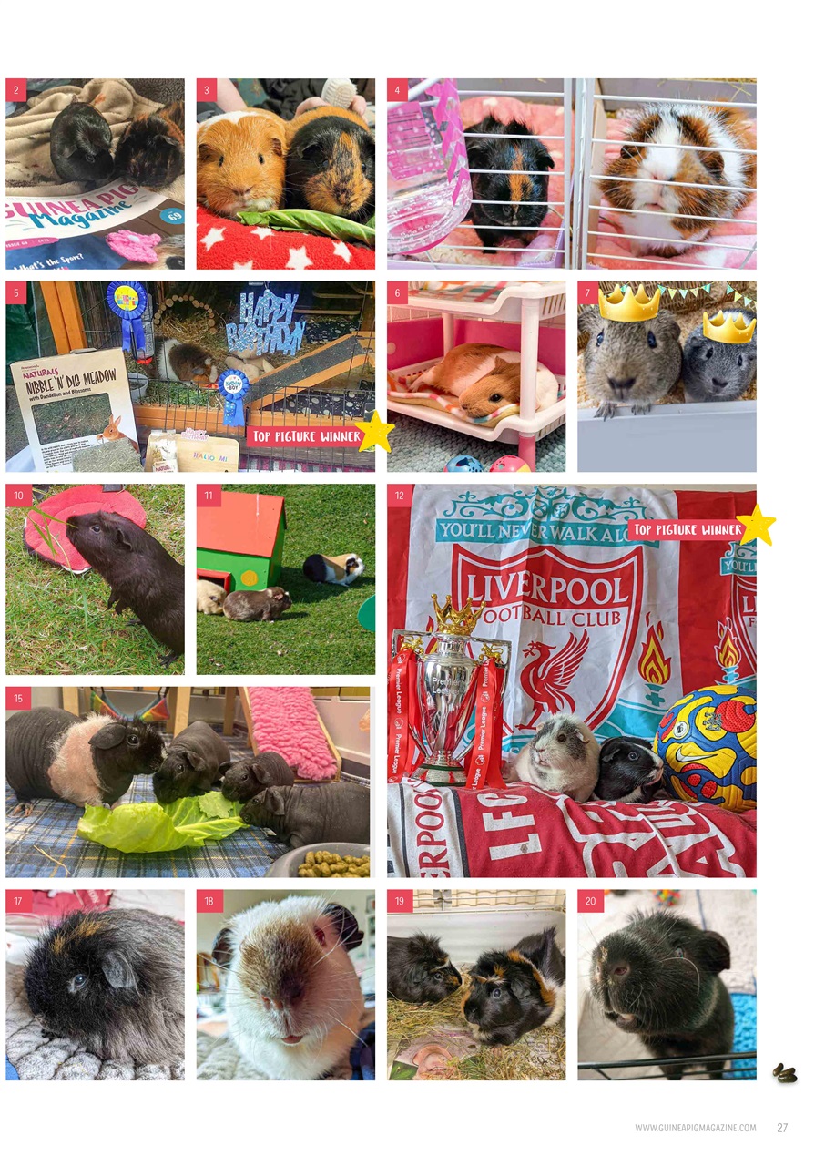 Guinea Pig Magazine Preview Pages