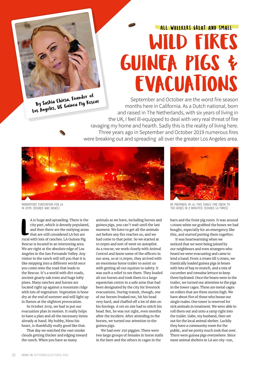 Guinea Pig Magazine Preview Pages