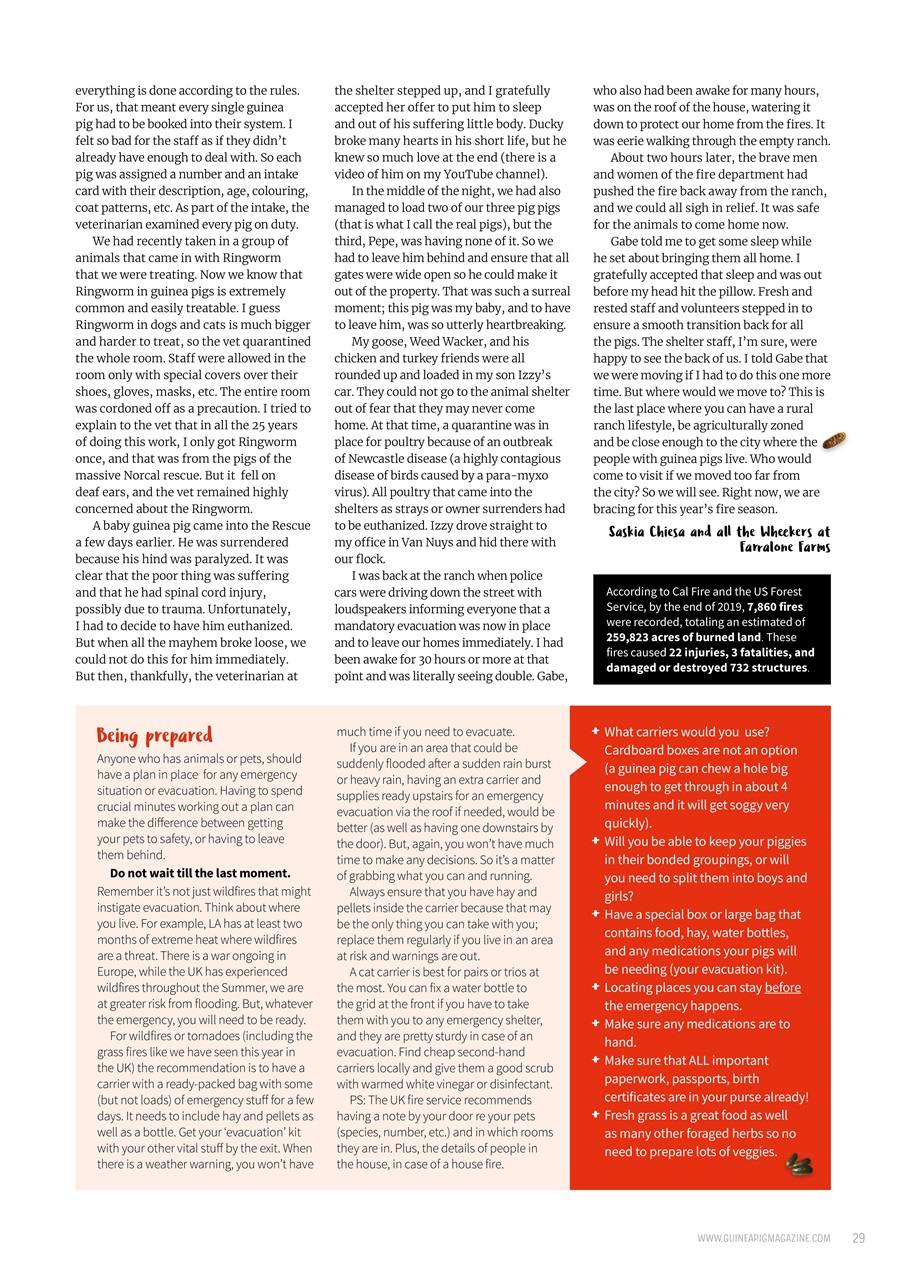 Guinea Pig Magazine Preview Pages