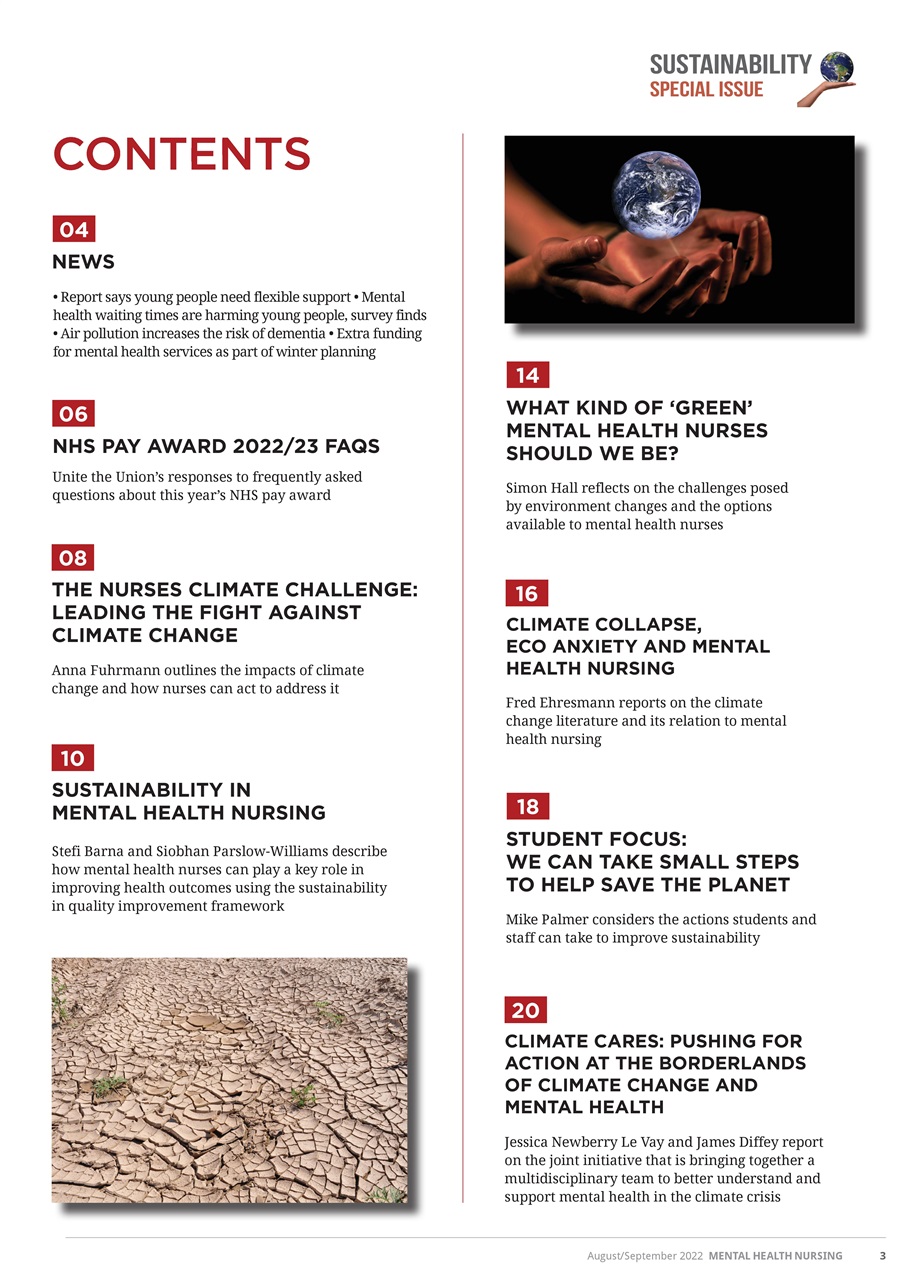 Mental Health Nursing Preview Pages