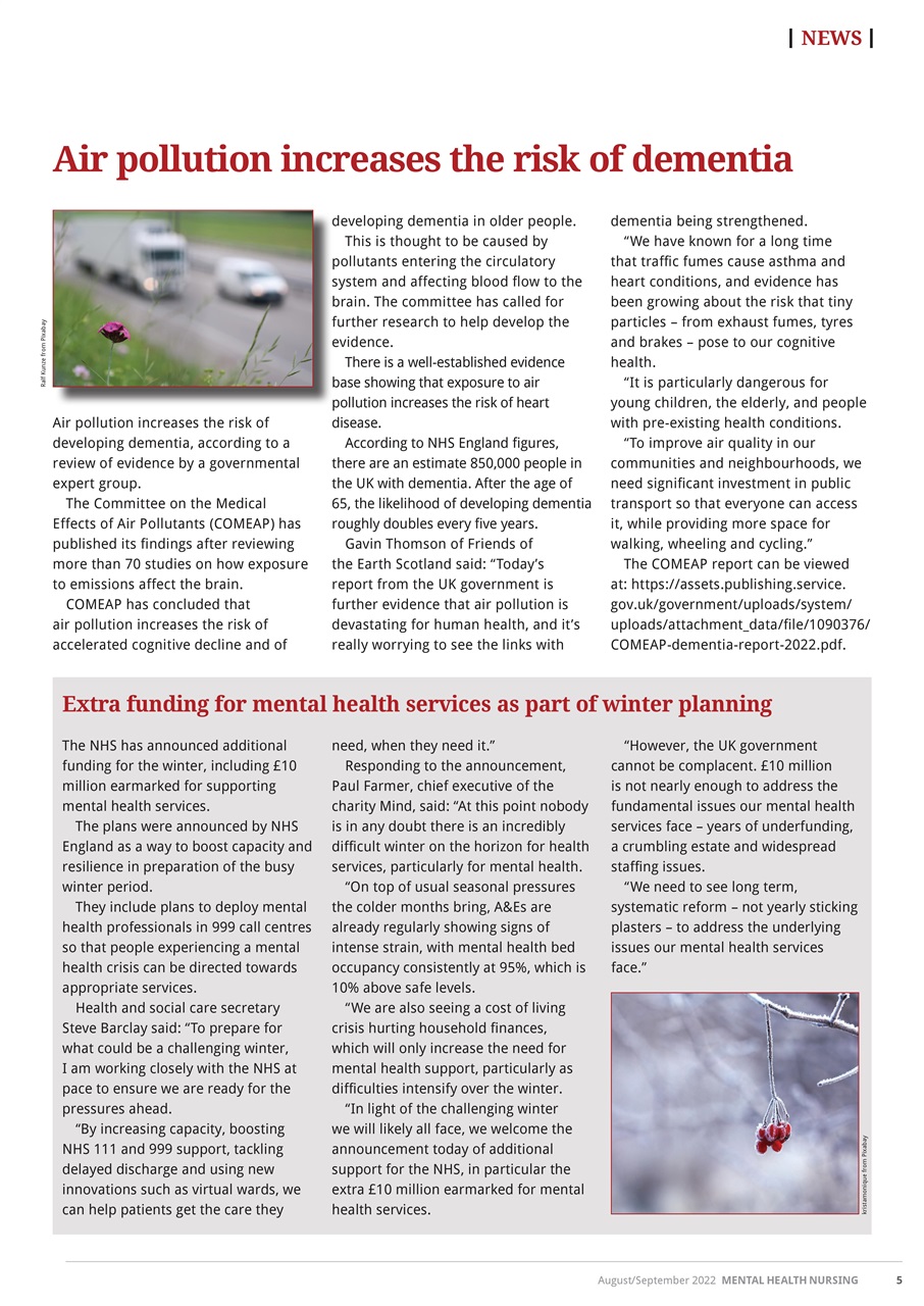 Mental Health Nursing Preview Pages