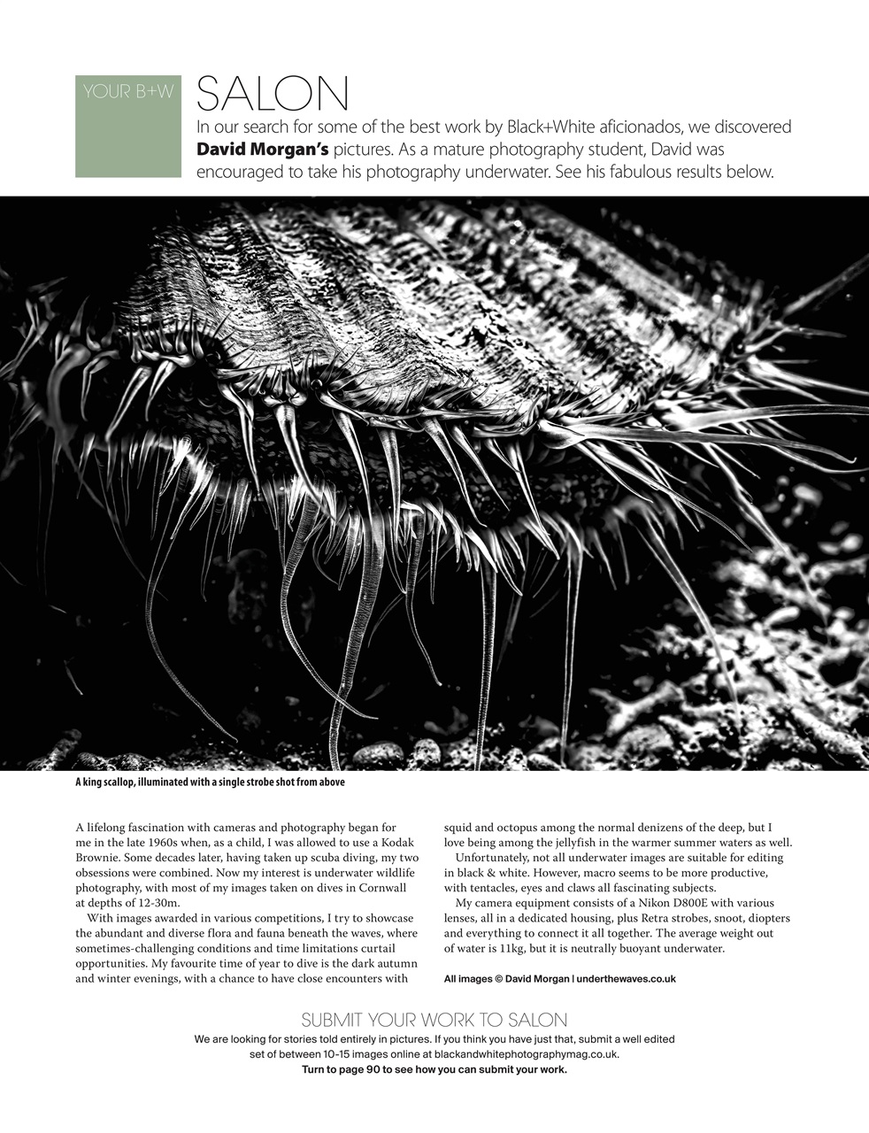 Black+White Photography Preview Pages