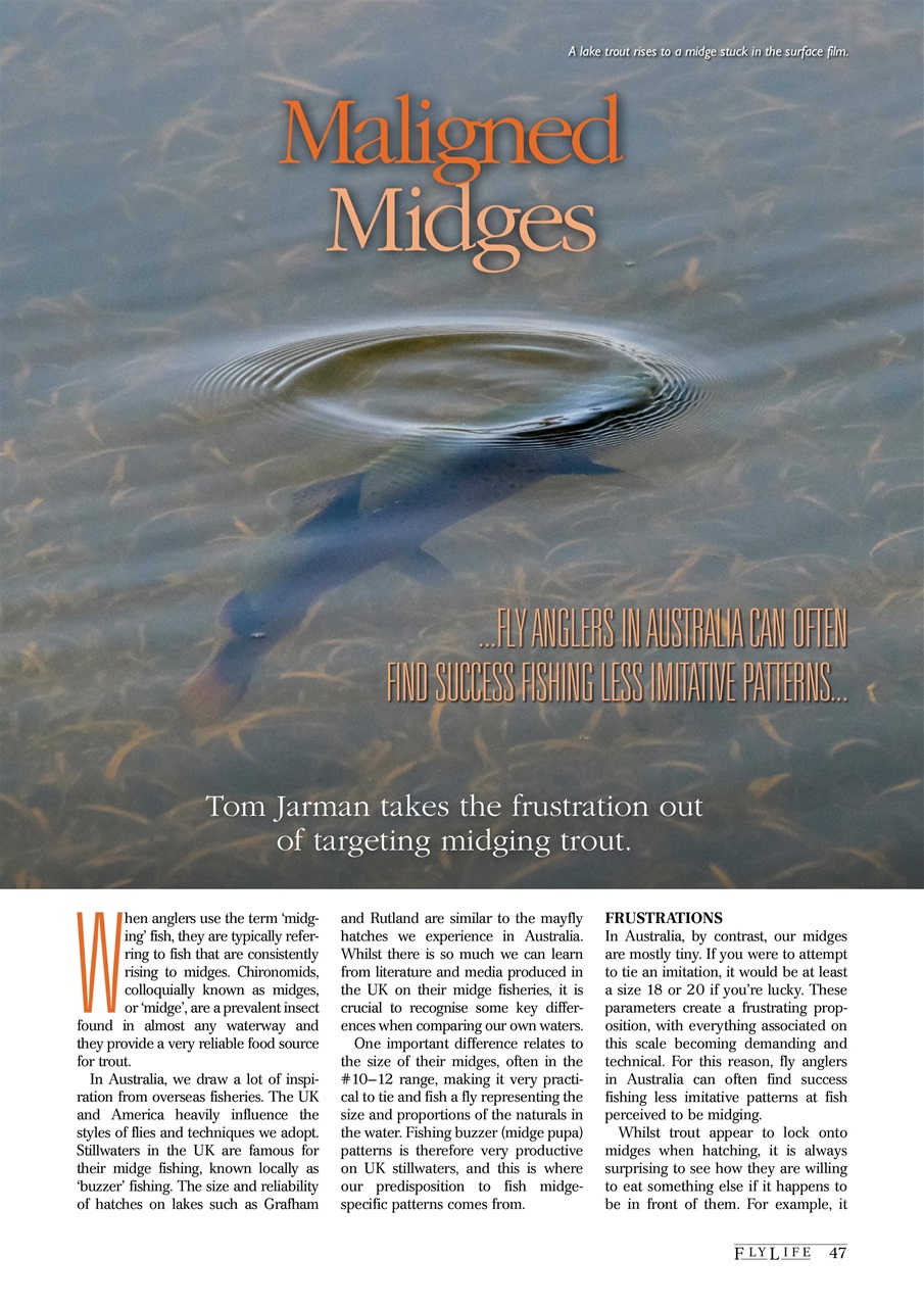 FlyLife Preview Pages