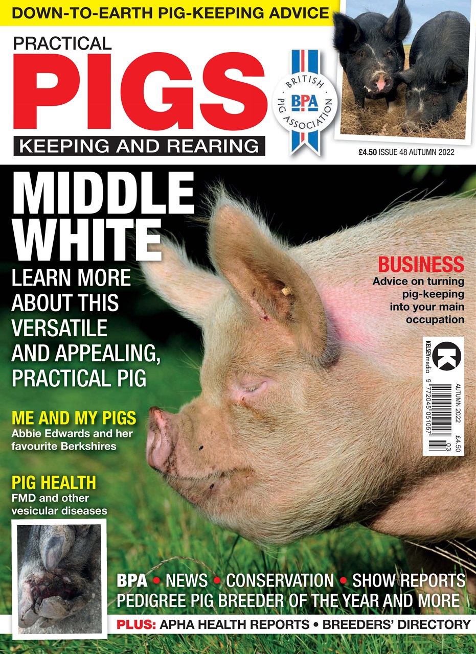 Practical Pigs Preview Pages