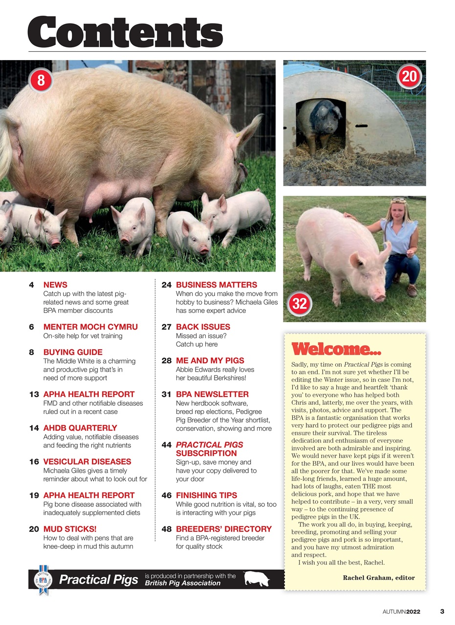 Practical Pigs Preview Pages