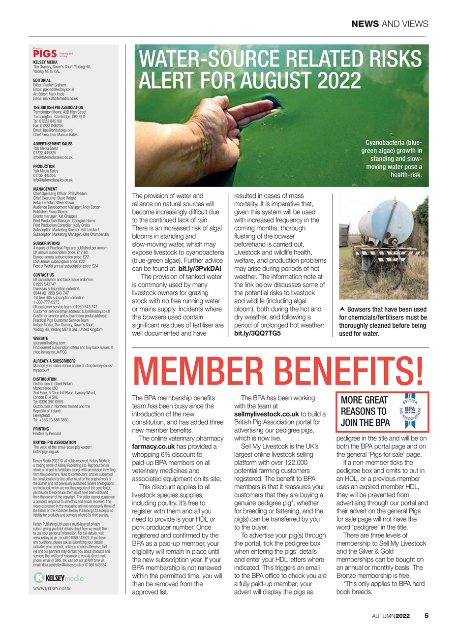 Practical Pigs Preview Pages