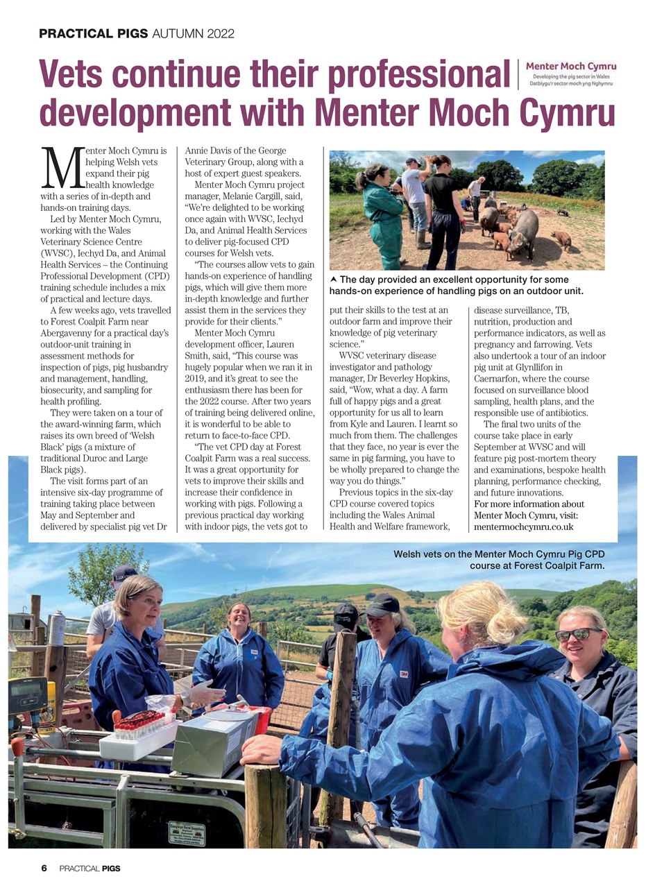 Practical Pigs Preview Pages