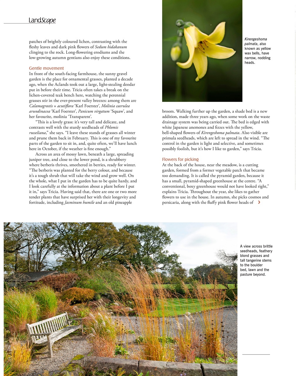 LandScape Preview Pages