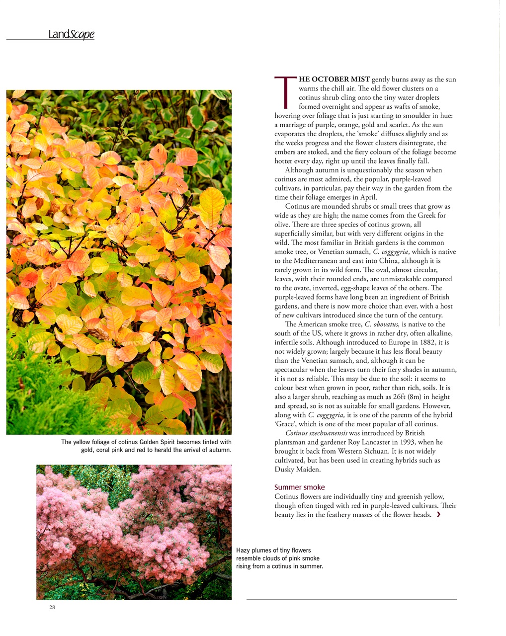 LandScape Preview Pages