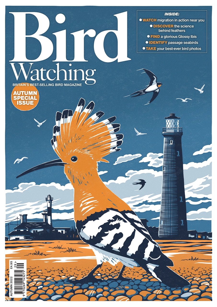 Bird Watching Preview Pages