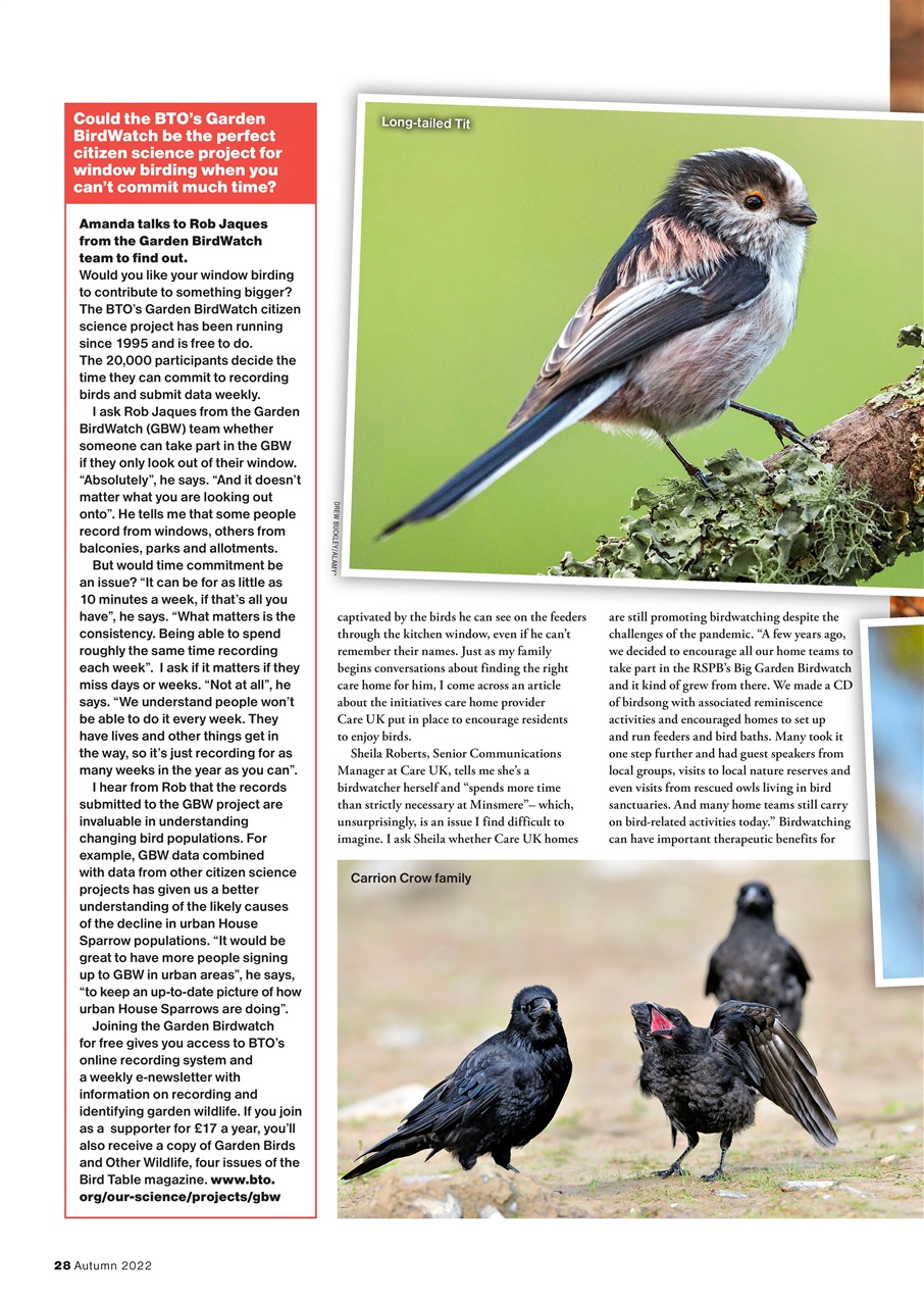 Bird Watching Preview Pages