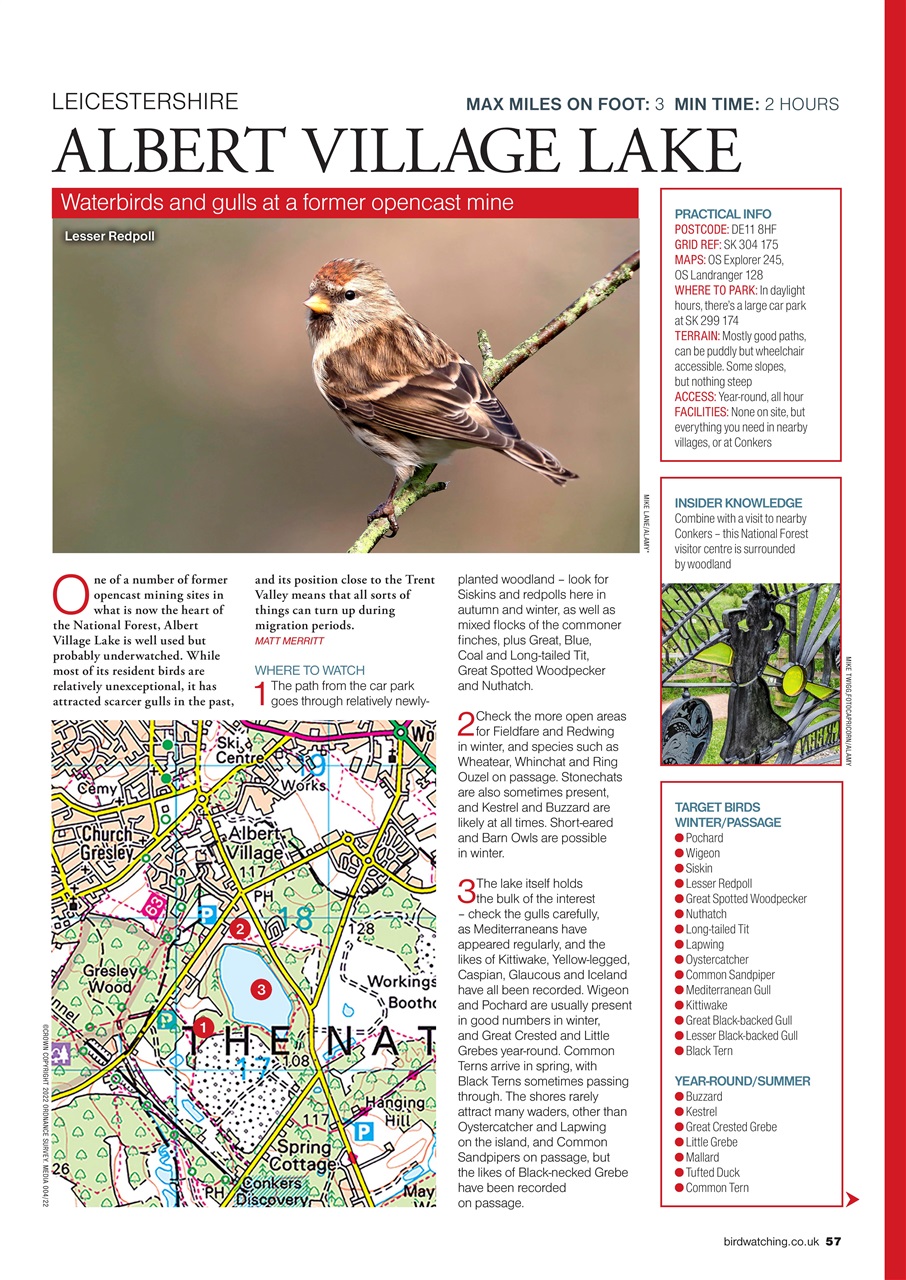 Bird Watching Preview Pages