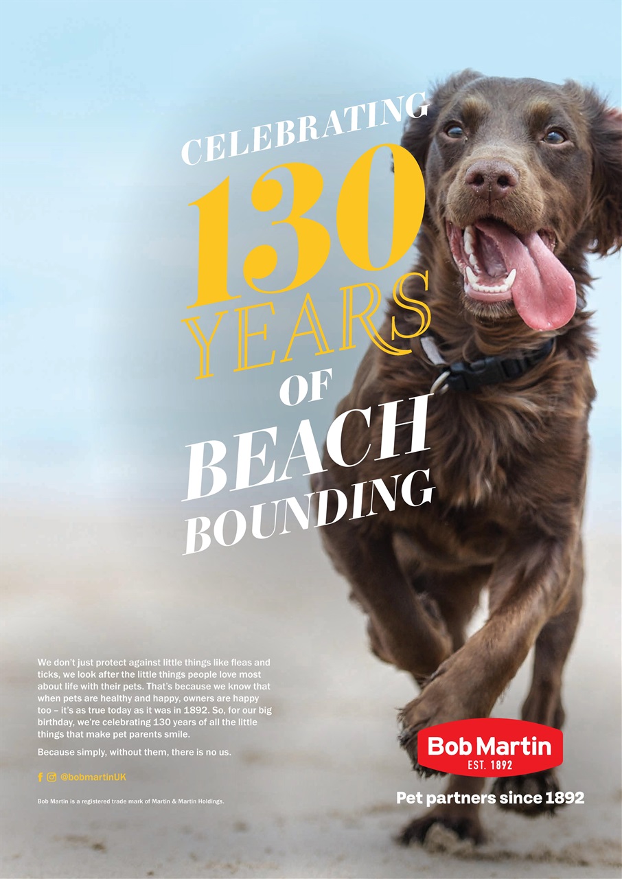 Your Dog Preview Pages