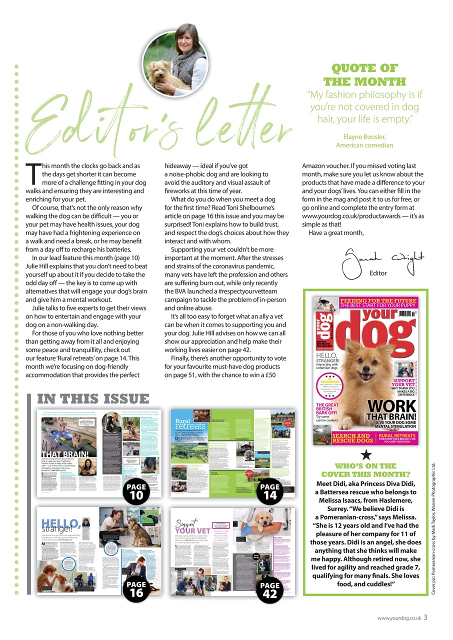 Your Dog Preview Pages