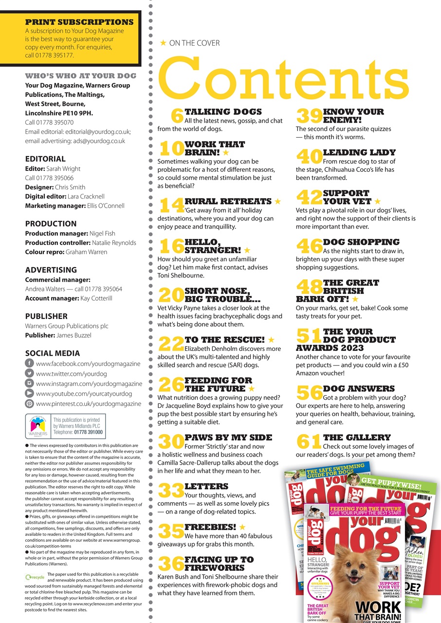 Your Dog Preview Pages