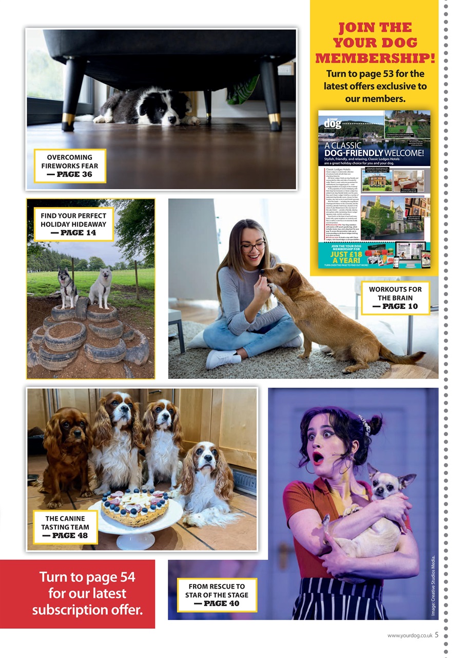 Your Dog Preview Pages