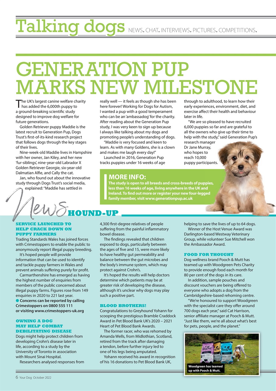 Your Dog Preview Pages