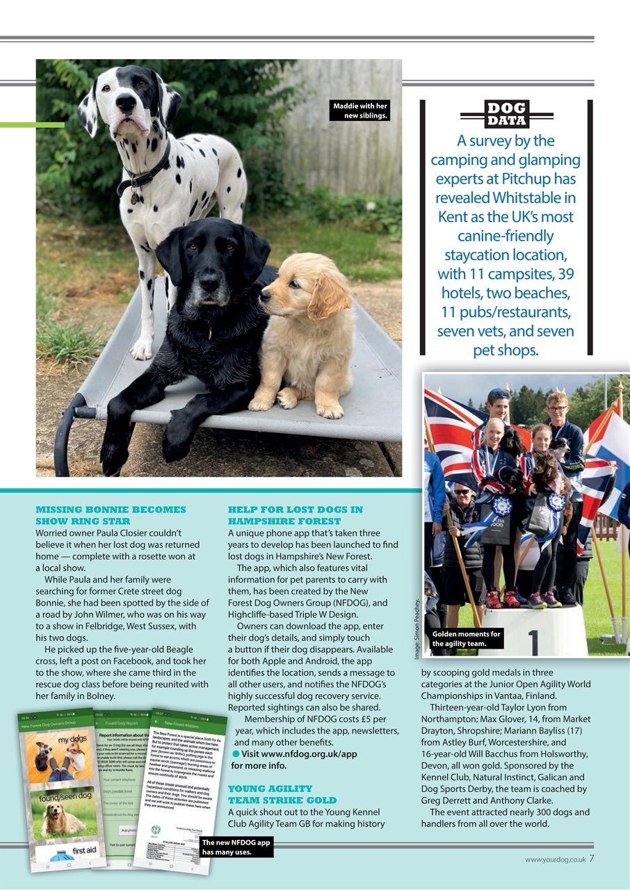 Your Dog Preview Pages