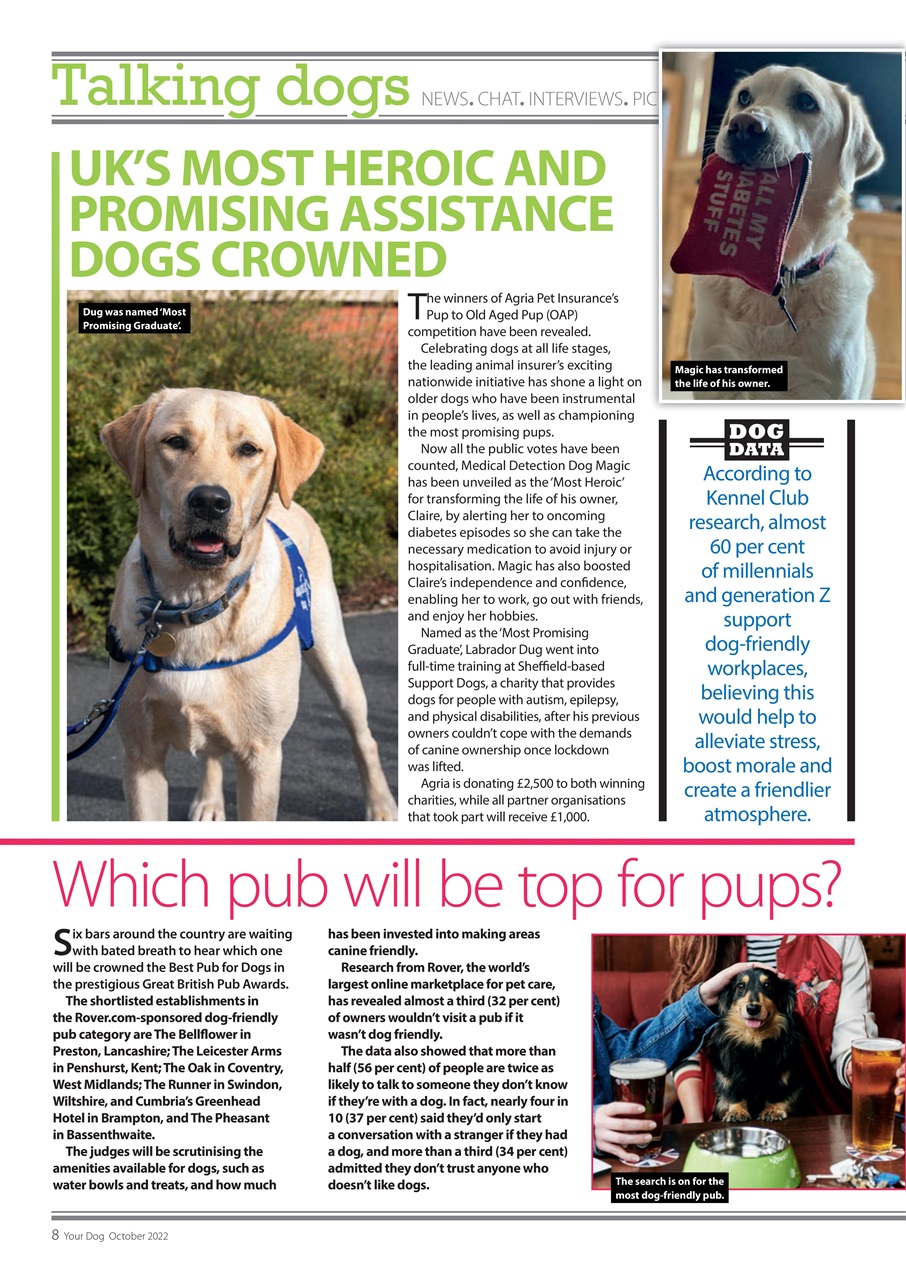 Your Dog Preview Pages