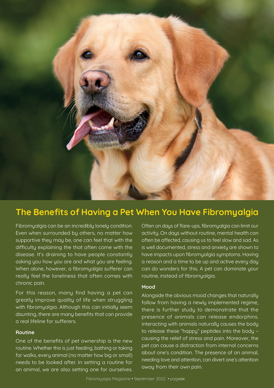 Fibromyalgia Magazine Preview Pages