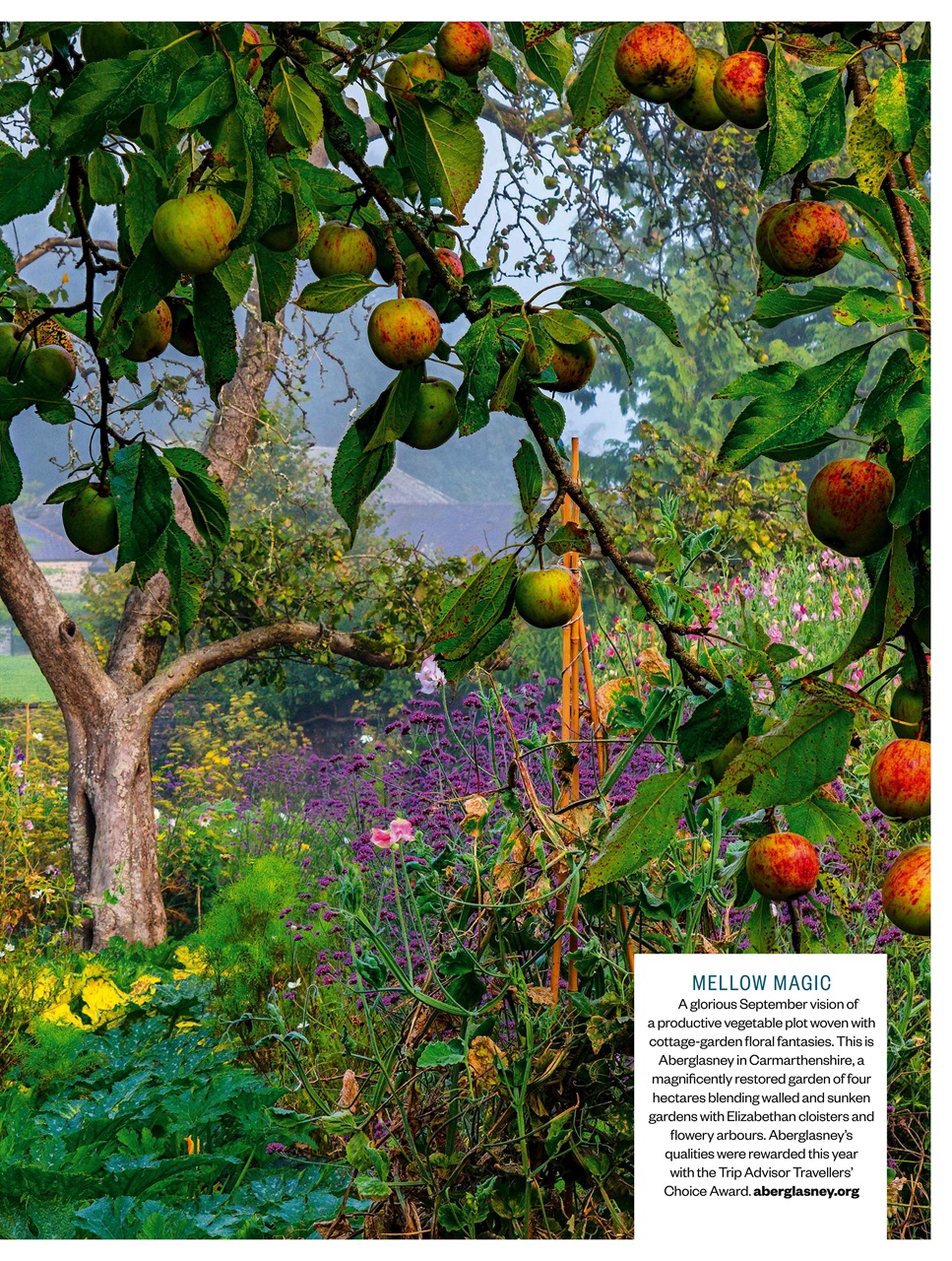 BBC Countryfile Magazine Preview Pages