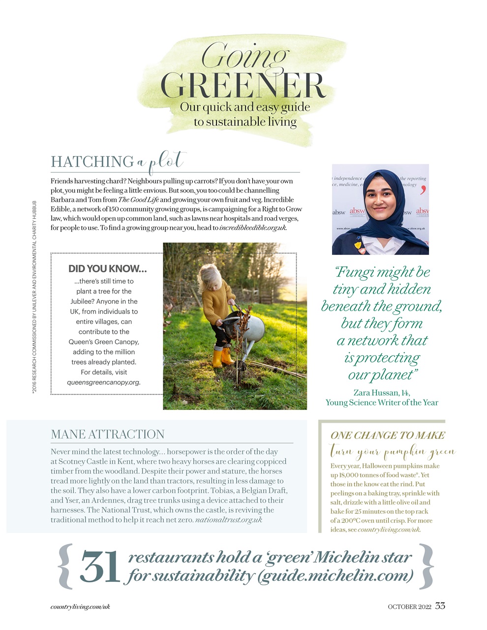 Country Living Preview Pages