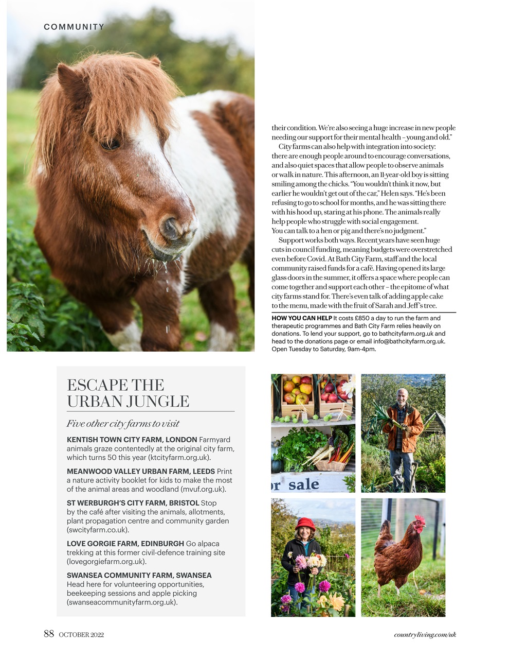 Country Living Preview Pages