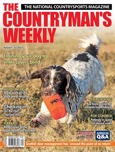 Countryman's Weekly issue 