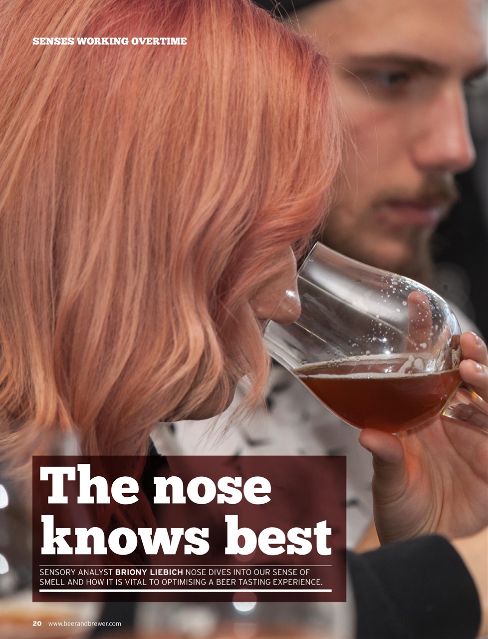 Beer and Brewer Preview Pages