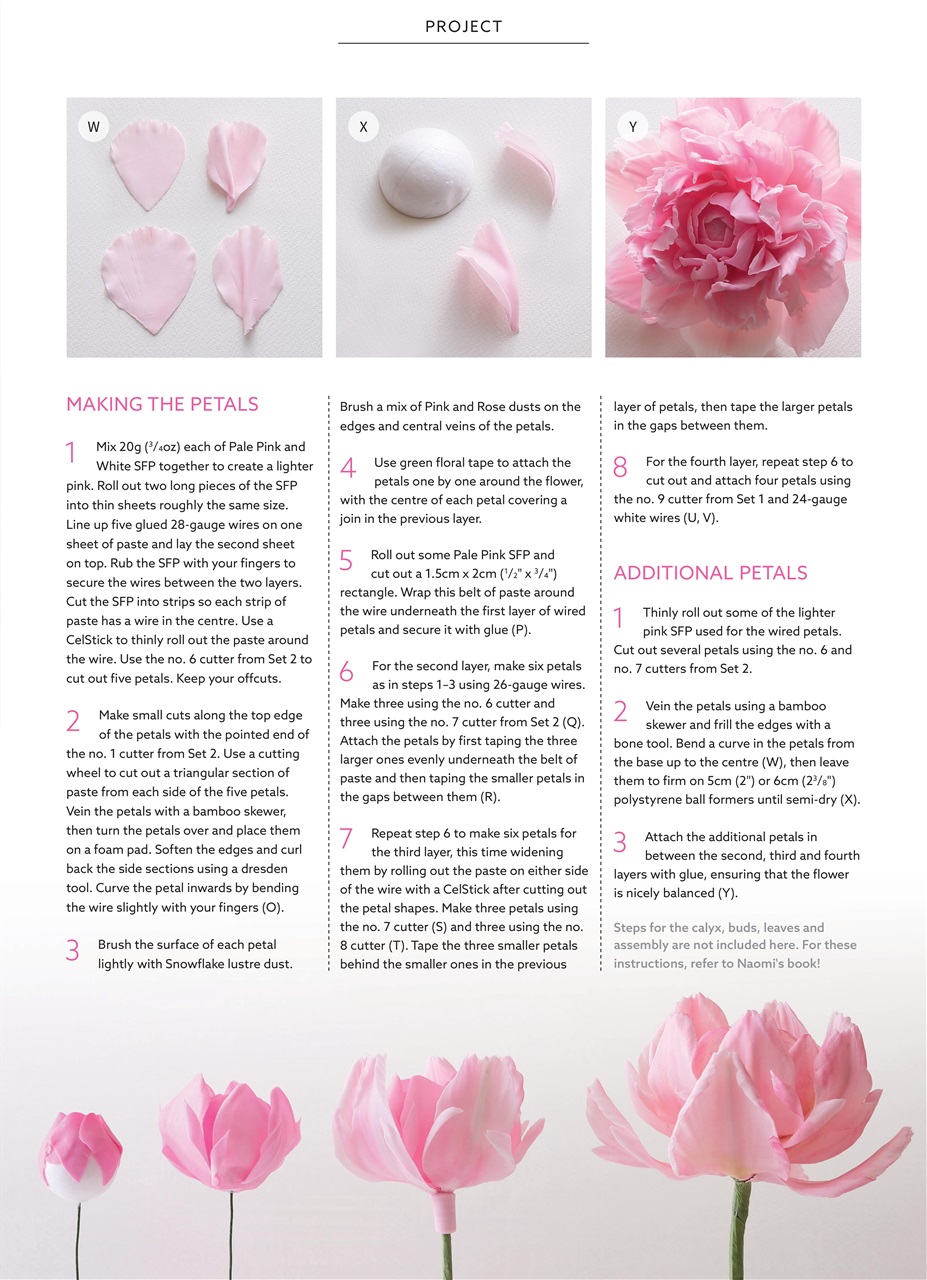 Cakes & Sugarcraft Preview Pages
