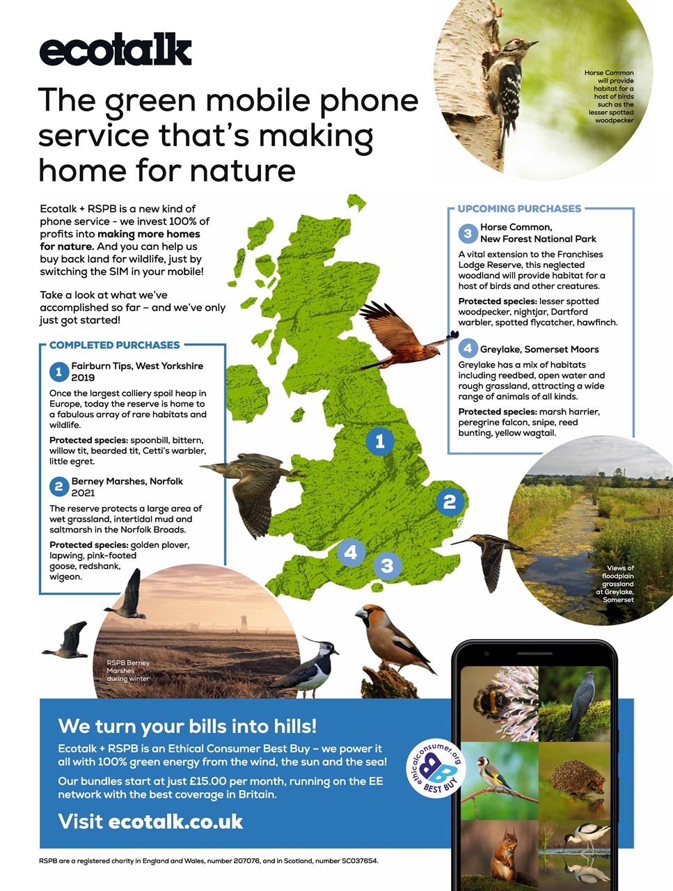 BBC Wildlife Magazine Preview Pages