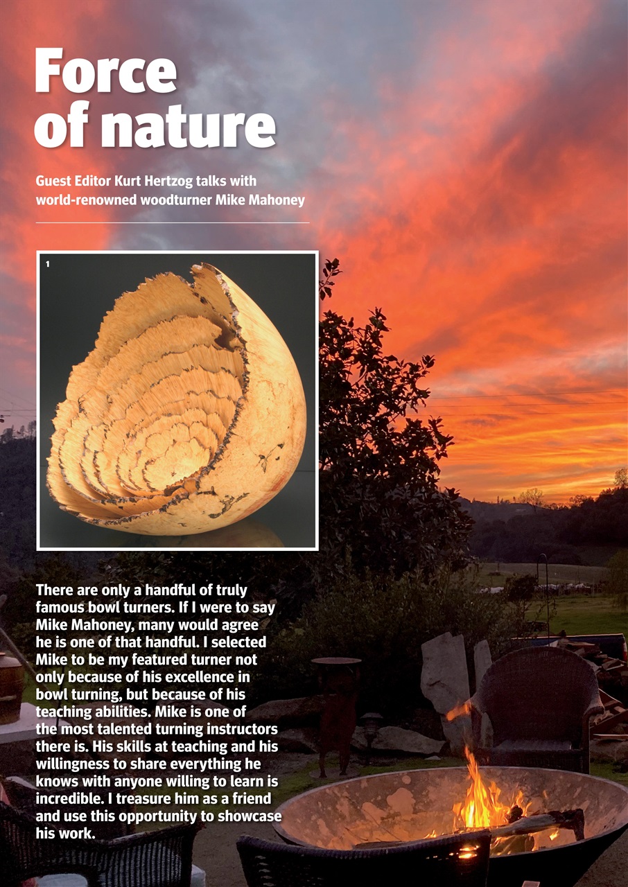 Woodturning Preview Pages