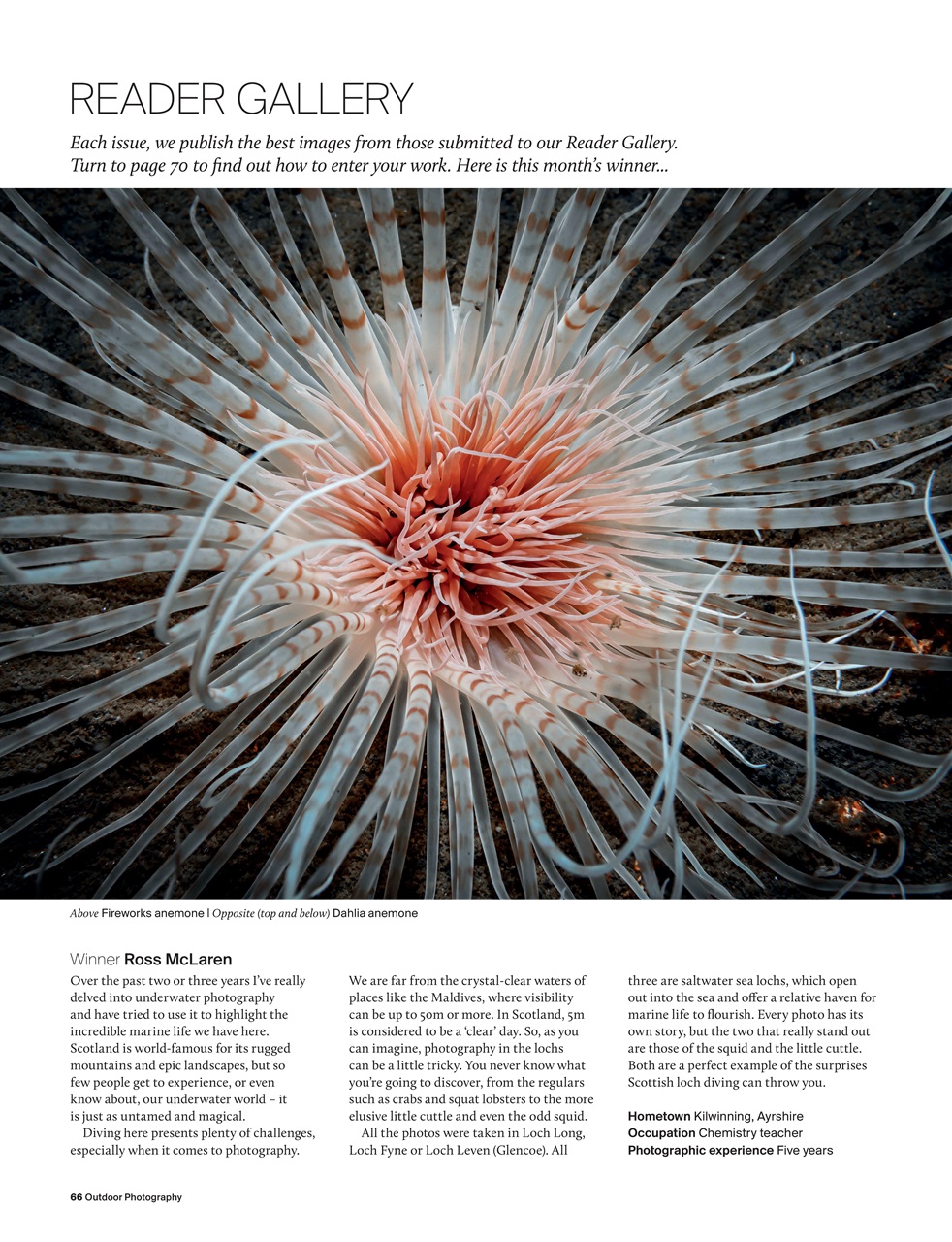 Outdoor Photography Preview Pages