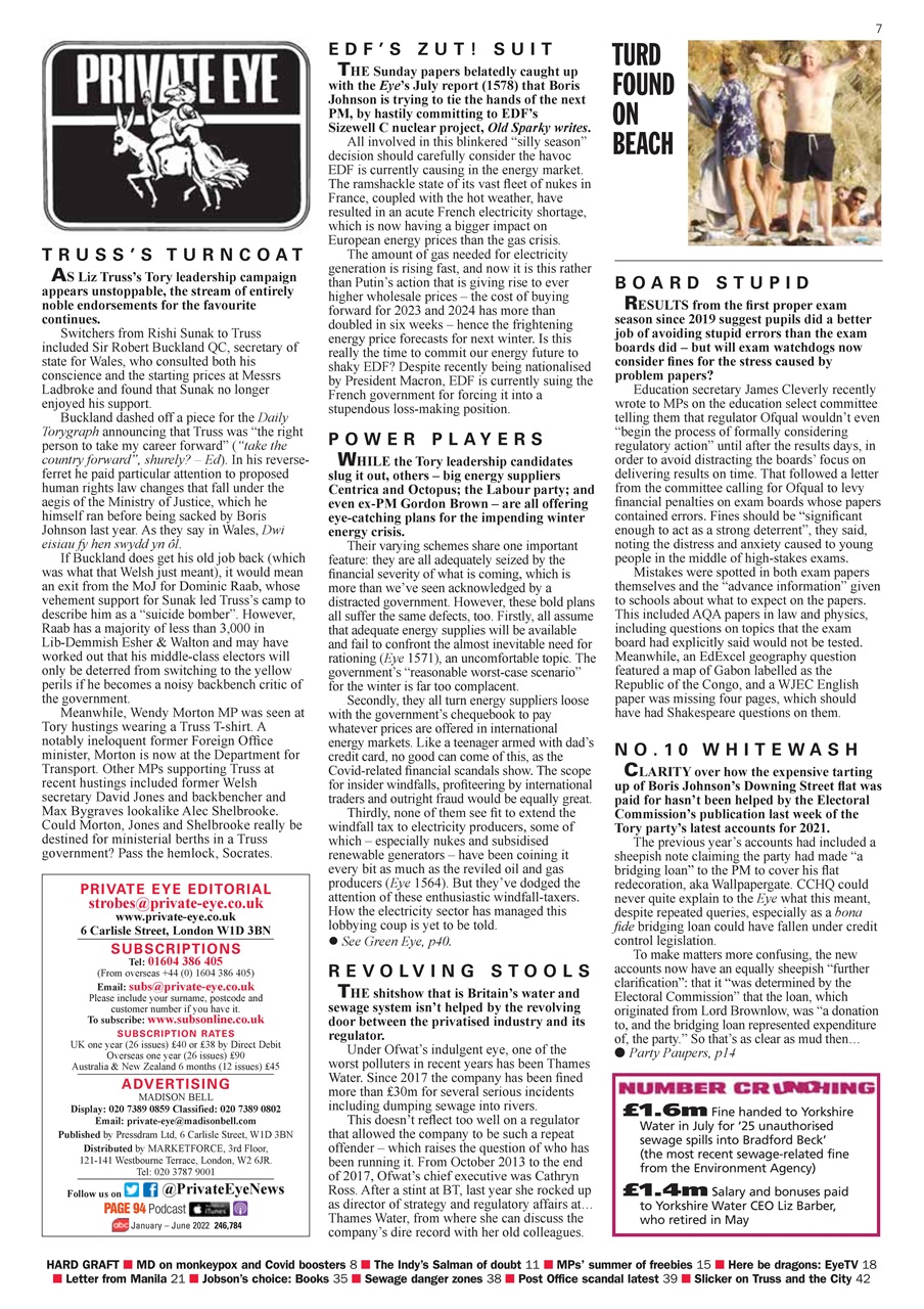 Private Eye Preview Pages