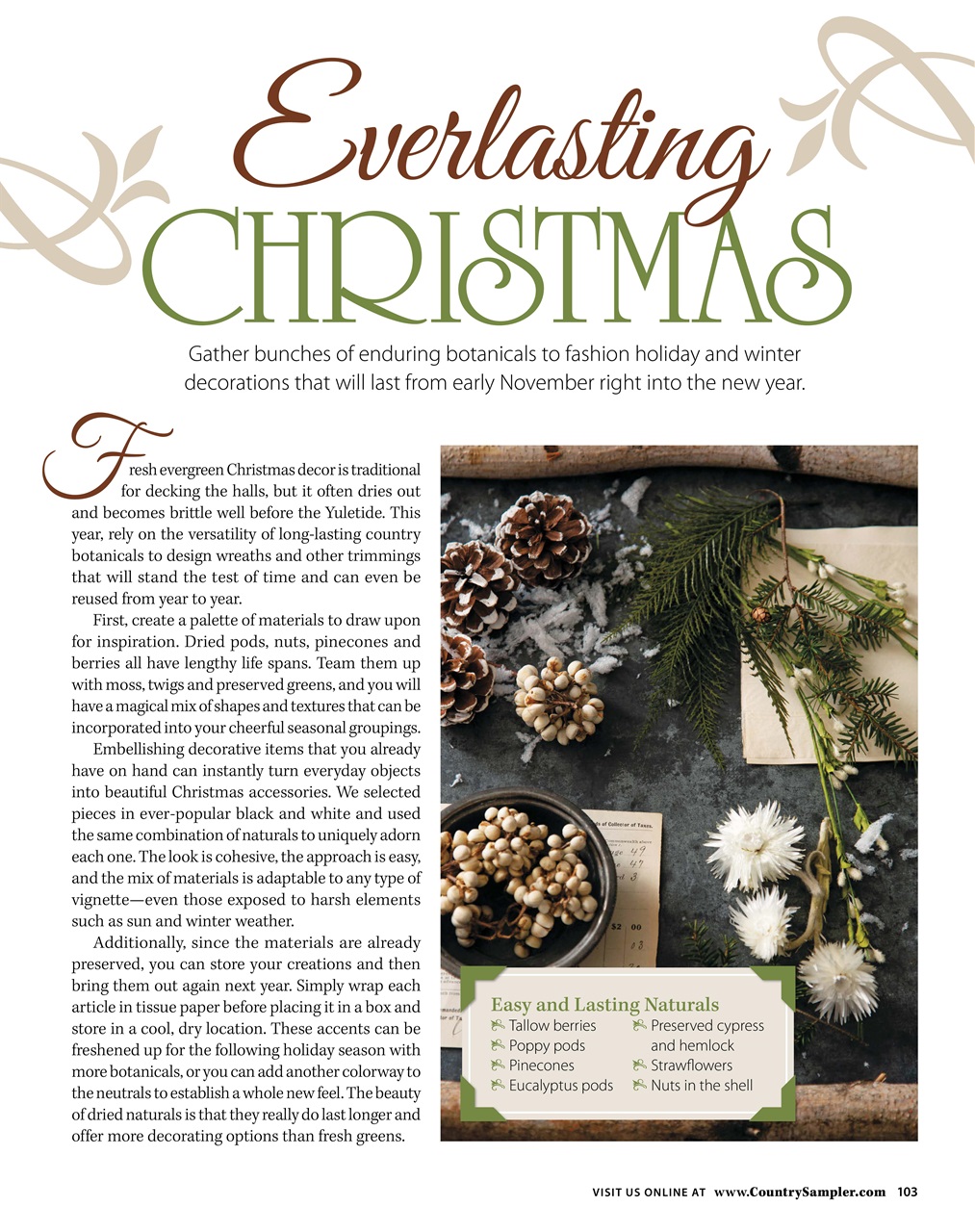Country Sampler Home Preview Pages