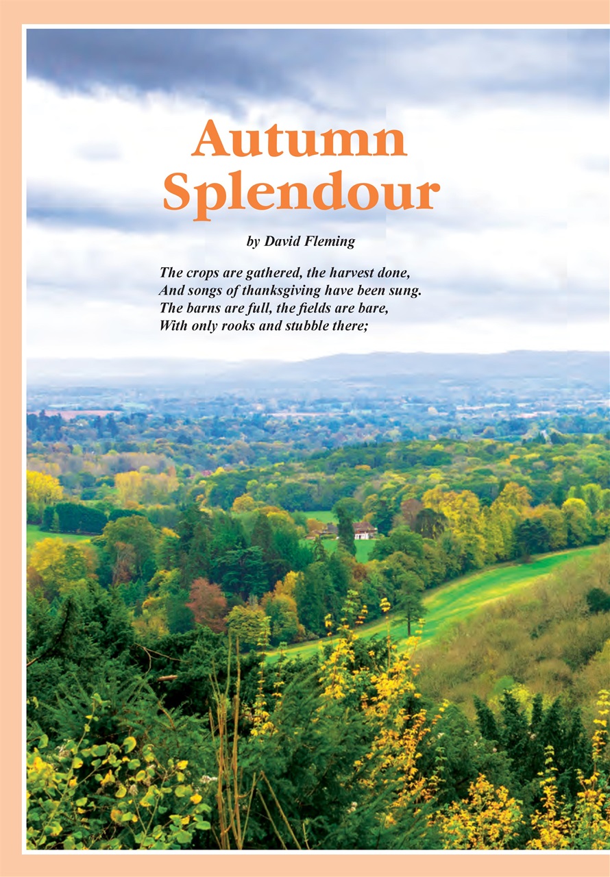 Evergreen Preview Pages