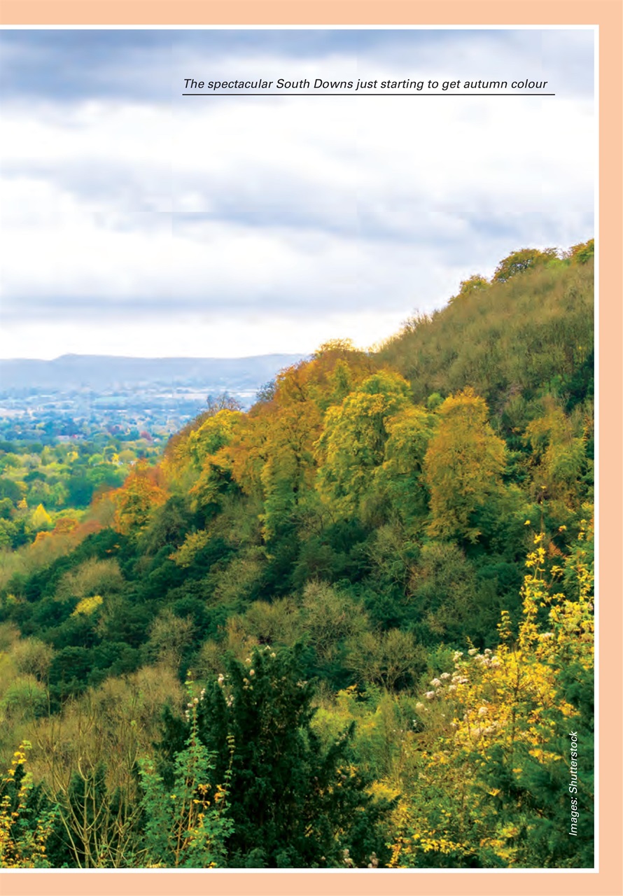 Evergreen Preview Pages