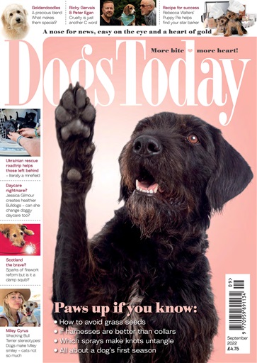 Dogs Today Magazine issue 