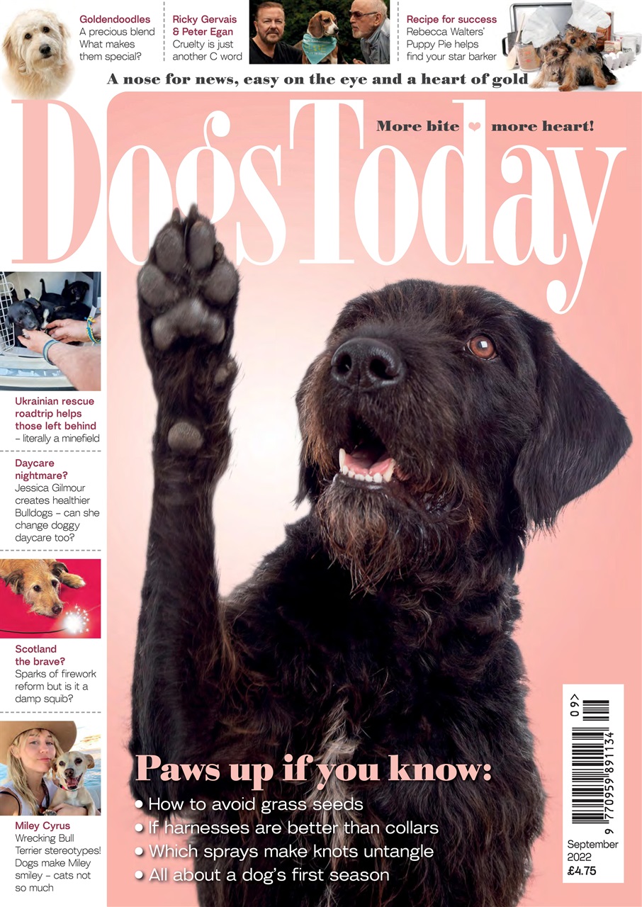 Dogs Today Magazine Preview Pages