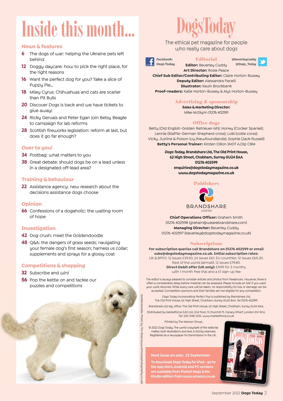 Dogs Today Magazine Preview Pages