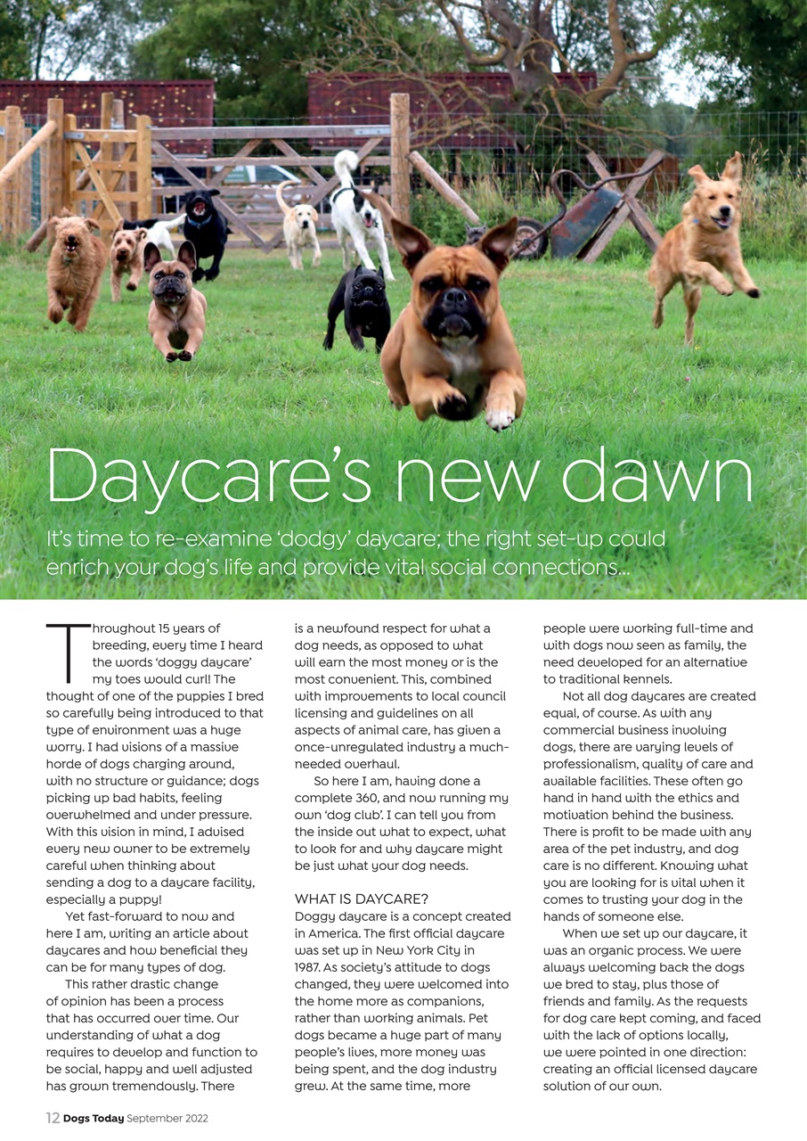 Dogs Today Magazine Preview Pages