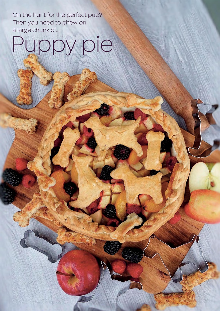 Dogs Today Magazine Preview Pages